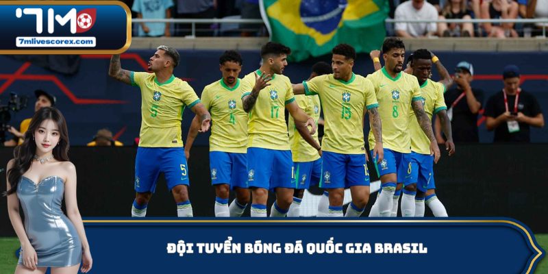 Đội Tuyển Bóng Đá Quốc Gia Brasil