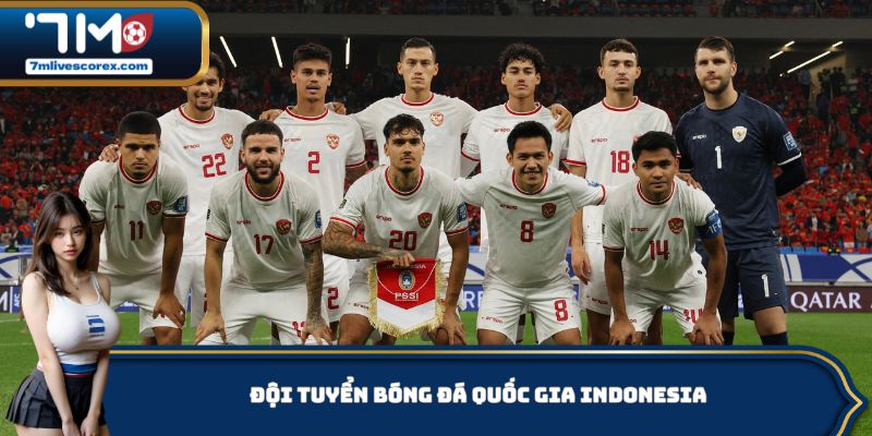 đội tuyển bóng đá quốc gia Indonesia