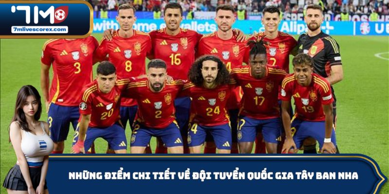 Những thông tin chi tiết về đội tuyển quốc gia Tây Ban Nha