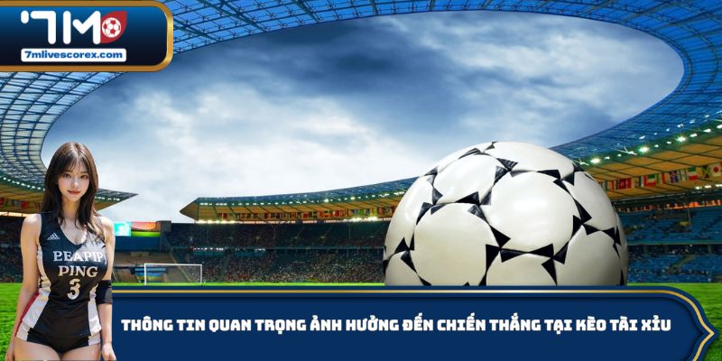 Thông tin quan trọng ảnh hưởng đến chiến thắng tại kèo tài xỉu