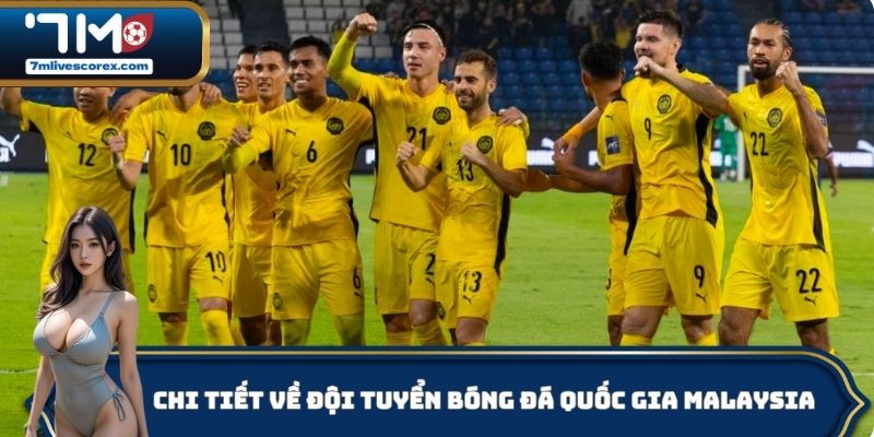 Chi tiết về đội tuyển bóng đá quốc gia Malaysia